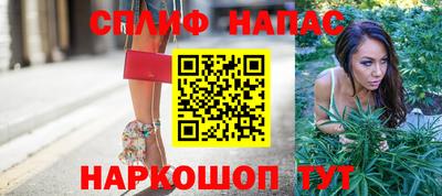 шишки Коммунар